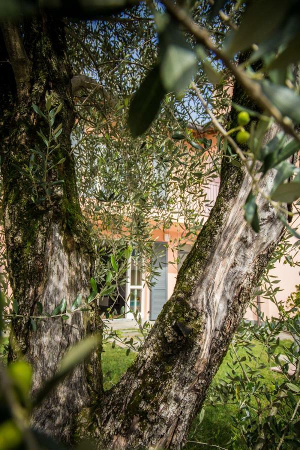 Maison Casa Lavanda เบลลาโจ ภายนอก รูปภาพ